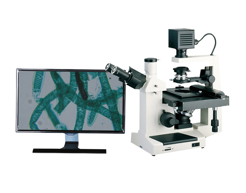 生物显微镜的使用方法